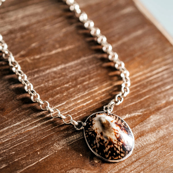 Soldered Limpet Sea Shell + Chain Necklace